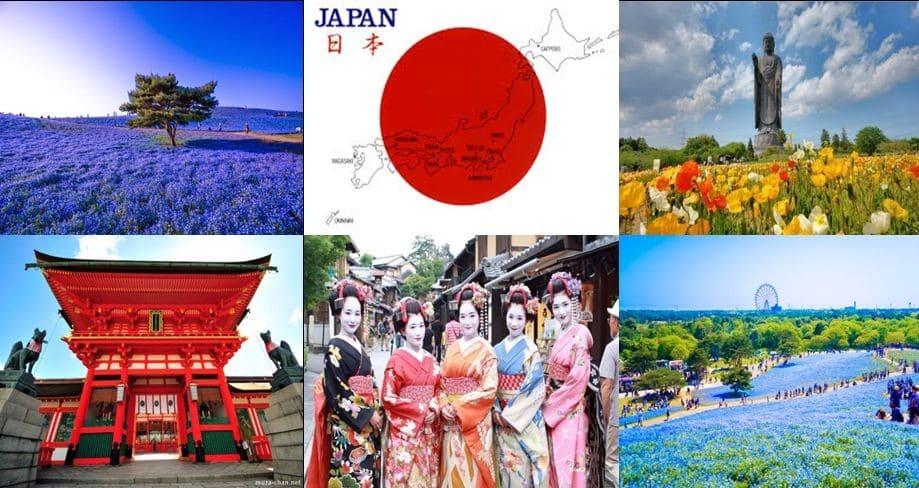 Tổng quan về Đất nước – Văn hoá – Con người Nhật Bản