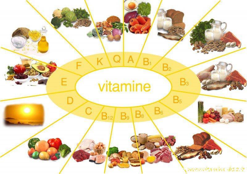 Lý thuyết Vitamin và muối khoáng Sinh học 8</>