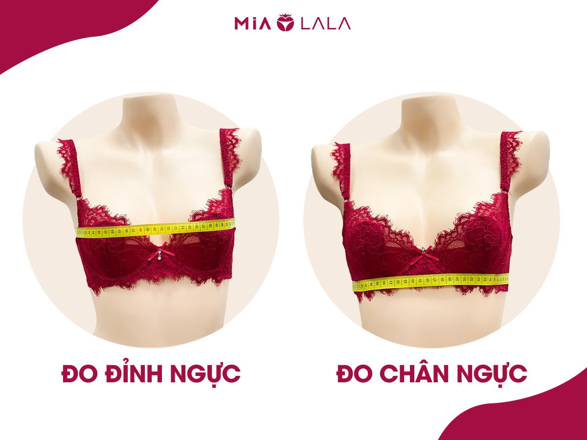 Cách đo Size áo ngực và bảng Size chuẩn cho người Việt