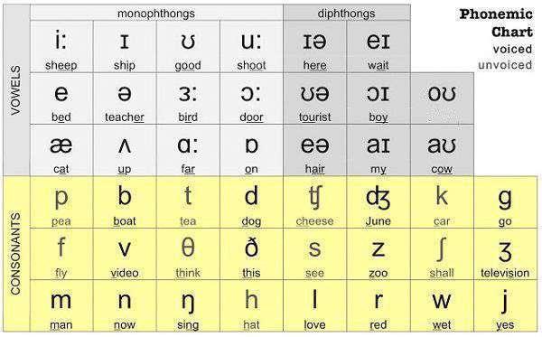 bảng phát âm tiếng Anh quốc tế IPA là gì