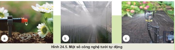 Lí thuyết Một số công nghệ cao trong trồng trọt - Công nghệ 10 Công nghê trồng trọt Kết nối tri thức</>