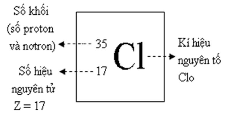 so-khoi-la-gi-1