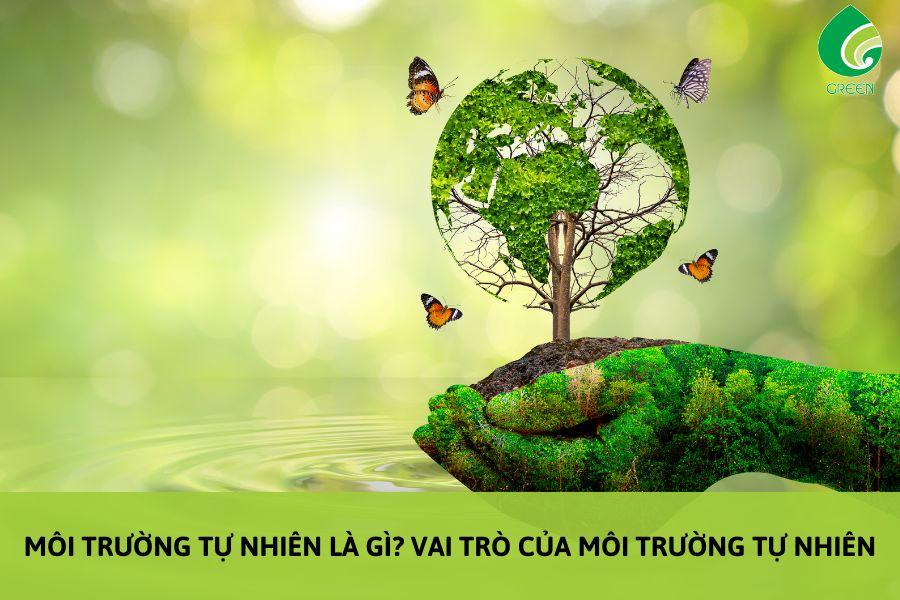 Môi Trường Tự Nhiên Là Gì? Vai Trò Của Môi Trường Tự Nhiên