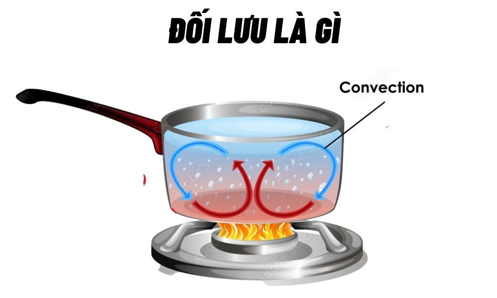1. Đối lưu là gì