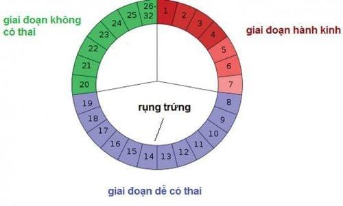 Xác định chính xác ngày rụng trứng sẽ dễ có thai hơn