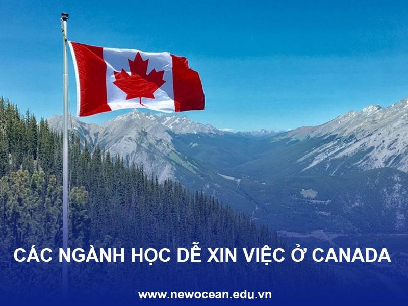 Các ngành học dễ xin việc ở Canada