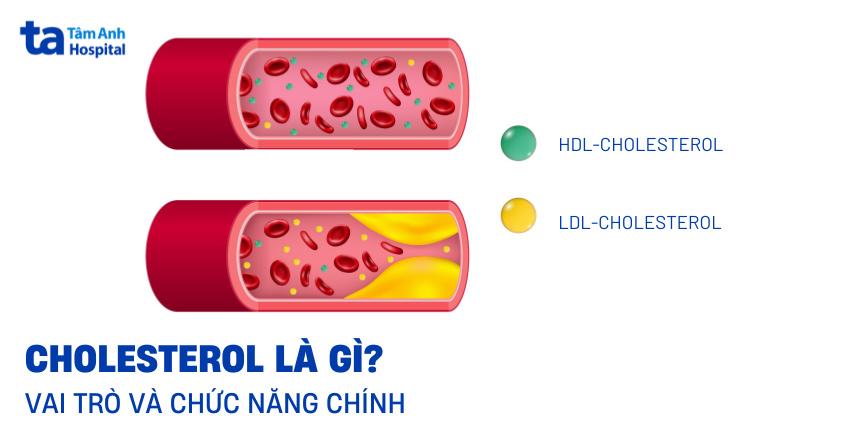 Cholesterol là gì?