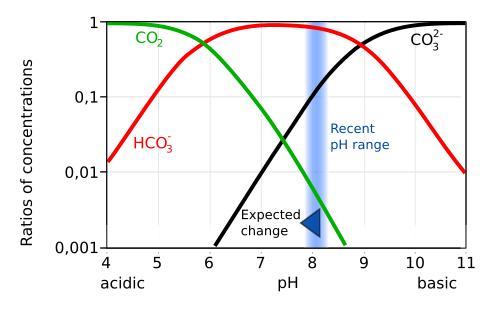 Carbonic acid
