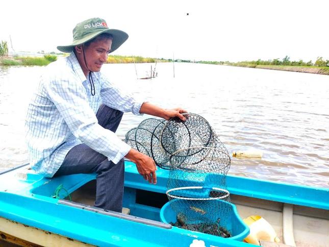 Mỹ công bố thuế 46%, Cà Mau khuyến cáo người nuôi tôm không hốt hoảng