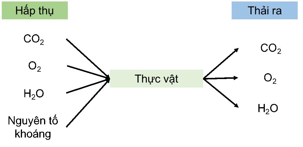 Bài tập chủ đề 8 trang 128 Khoa học tự nhiên 7 -  Cánh diều