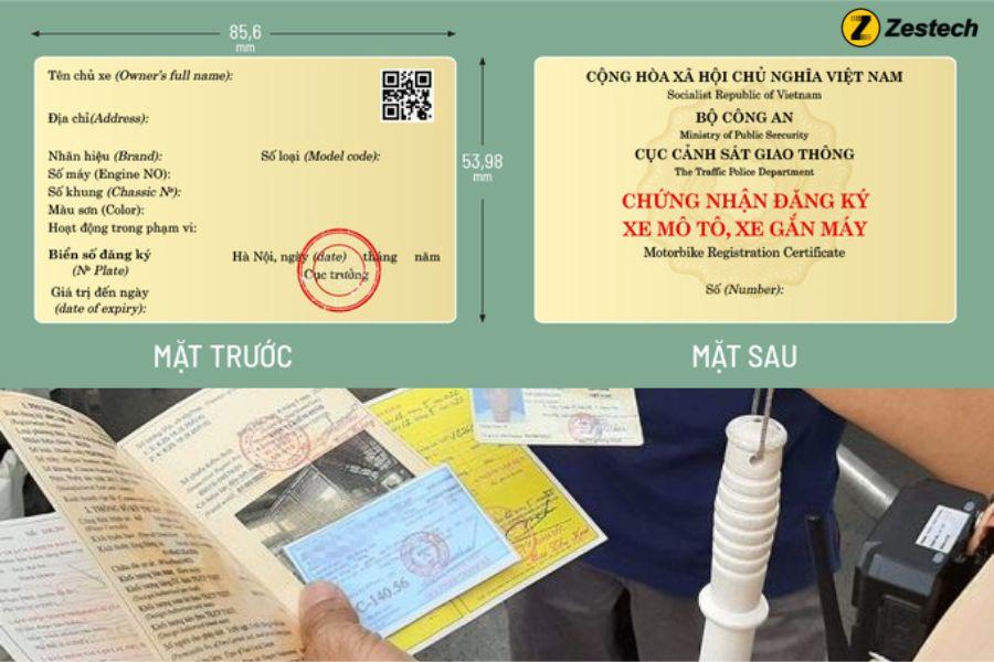 Cà vẹt xe là gì? Cách phân biệt cà vẹt xe thật giả chi tiết