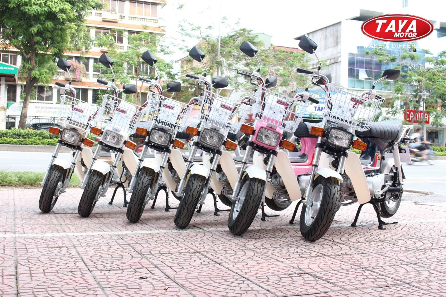 Xe máy 50cc Chaly Taya (xanh dương)