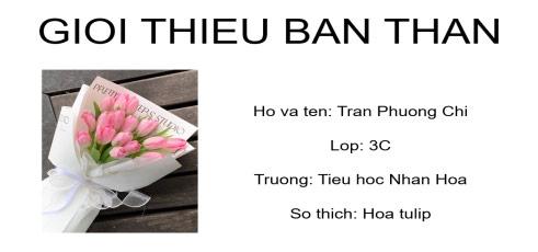 Bộ đề thi Tin học lớp 3 học kì 2 Kết nối tri thức năm 2025