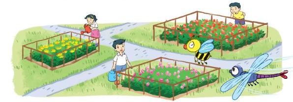 Giải Toán lớp 3 Bài 53: Luyện tập chung SGK Kết nối tri thức tập 2