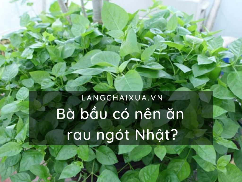 Bà bầu có nên ăn rau ngót Nhật? Loại rau mẹ cần cân nhắc khi dùng