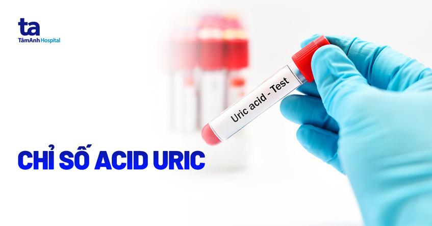 chỉ số acid uric