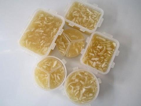 RONG CHÂN VỊT KHÔ LÝ SƠN