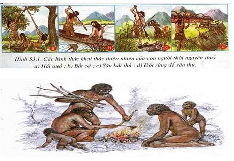 Sinh học 9 Bài 53: Tác động của con người đối với môi trường